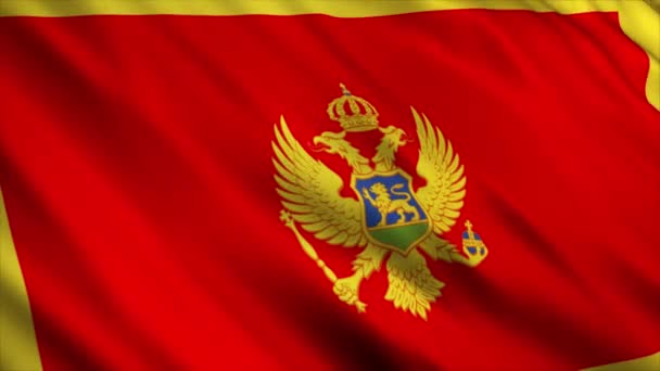 Montenegro National Flag Animation Hög Kvalitet Viftande Flagga Animation Med — Stockvideo