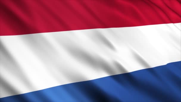 Animacja Flaga Narodowa Niderlandy Wysokiej Jakości Animacja Flaga Płynną Pętlą — Wideo stockowe