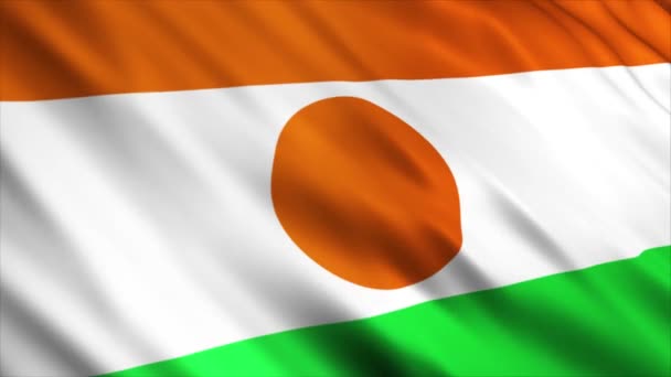 Niger National Flag Animation Wysokiej Jakości Animacja Flagą Bez Szwu — Wideo stockowe
