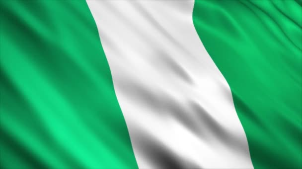 ナイジェリアの国旗のアニメーション シームレスなループが付いている良質の編む旗のアニメーションは 必要に応じて期間を延長します — ストック動画
