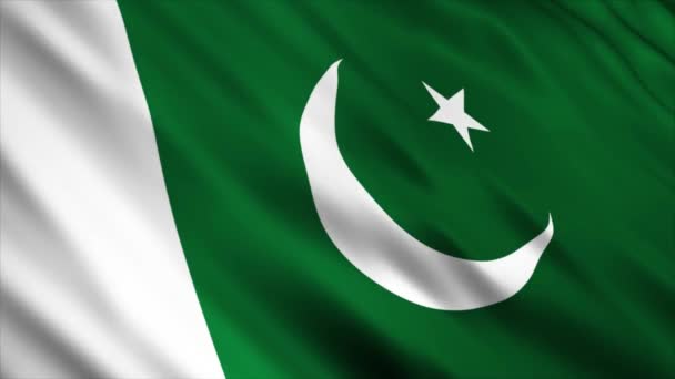 Pakistan National Flag Animation Hög Kvalitet Viftande Flagga Animation Med — Stockvideo