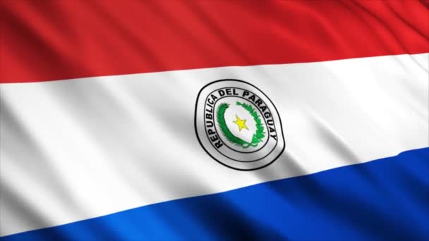Παραγουάη National Flag Animation High Quality Waving Flag Animation Seamless — Αρχείο Βίντεο