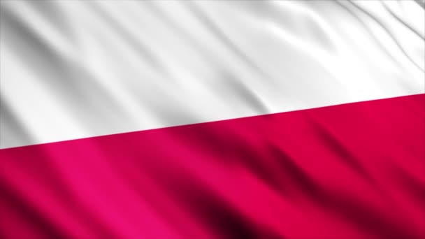 Polen National Flag Animation Hög Kvalitet Viftande Flagga Animation Med — Stockvideo