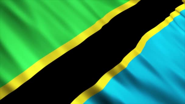 坦桑尼亚国家国旗动画 高质量的无缝带摆动国旗动画 按要求延长期限 — 图库视频影像