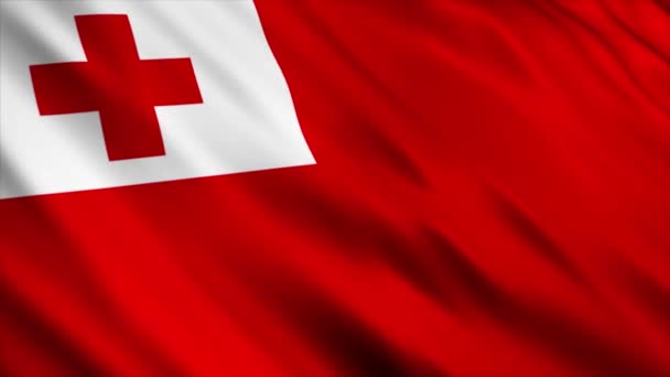 Animación Bandera Nacional Tonga Animación Bandera Ondeante Alta Calidad Con — Vídeo de stock