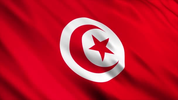 Tunézia Nemzeti Zászló Animáció Kiváló Minőségű Integetés Zászló Animáció Zökkenőmentes — Stock videók