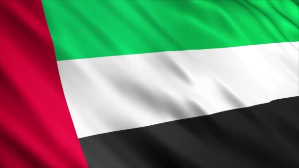 United Arab Emirates National Flag Animation High Quality Waving Flag — Stock Video