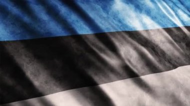 Estonya Ulusal Bayrak Animasyonu, Yüksek Kalite Dalgalanan Bayrak Animasyonu Kusursuz Döngü ile Gerekli Süreyi Uzatın