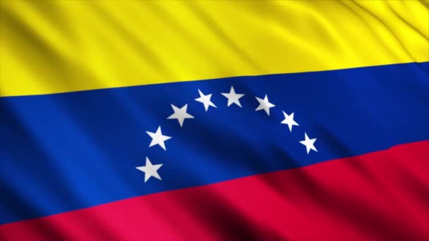Venezuela Nationale Vlag Animatie Hoge Kwaliteit Golvende Vlag Animatie Met — Stockvideo