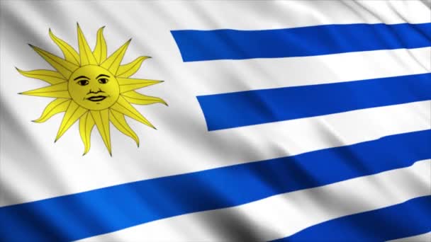 Animación Bandera Nacional Uruguay Animación Bandera Ondeante Alta Calidad Con — Vídeo de stock