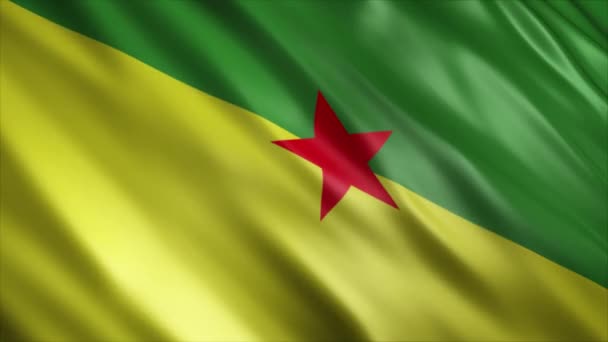 Francouzská Guyana Národní Vlajka Animace Vysoce Kvalitní Vlnění Vlajky Animace — Stock video