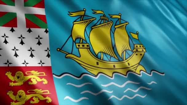 Saint Pierre Und Miquelon National Flag Animation High Quality Waving — Stockvideo