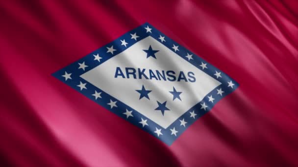 阿肯色州国旗 高品质的无缝隙波浪旗帜动画 延长所需的时间 — 图库视频影像