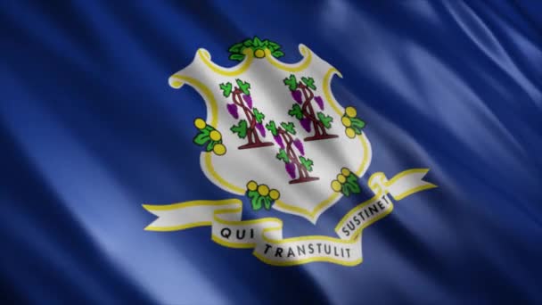 Connecticut State Flag Animación Animación Bandera Ondeante Alta Calidad Con — Vídeos de Stock