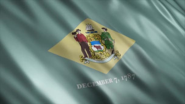特拉华州国旗 高品质的无缝线波浪旗帜动画 延长所需的时间 — 图库视频影像