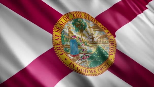 Florida State Flag Usa Animation High Quality Waving Flag Animation — Stock Video