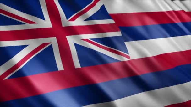 夏威夷州旗 高品质的无缝隙波浪旗帜动画 延长所需的时间 — 图库视频影像