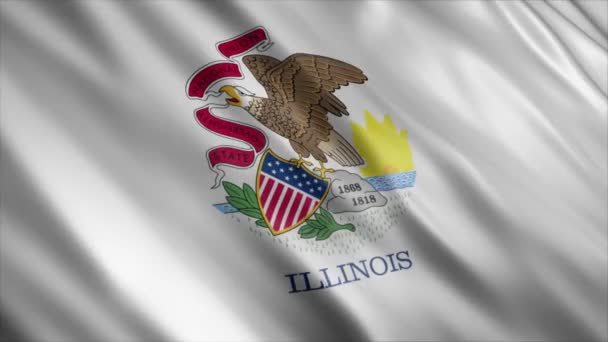 Illinois State Flag Usa Animation Hög Kvalitet Viftande Flagga Animation — Stockvideo