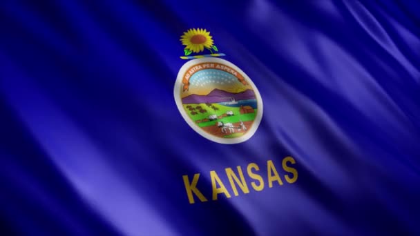 Kansas State Flag Usa Animazione Animazione Con Bandiera Sventolante Alta — Video Stock