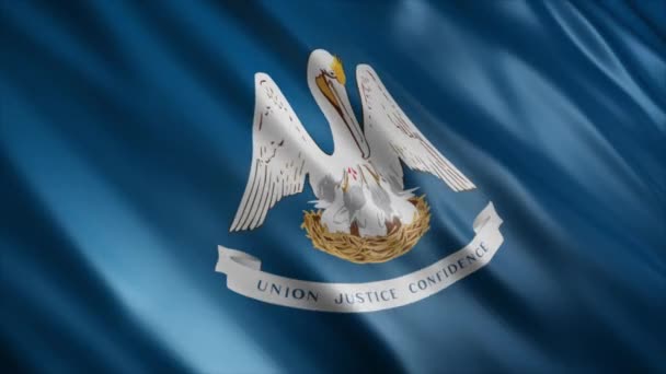 路易斯安那州国旗 高品质的无缝线波浪旗帜动画 延长所需的时间 — 图库视频影像