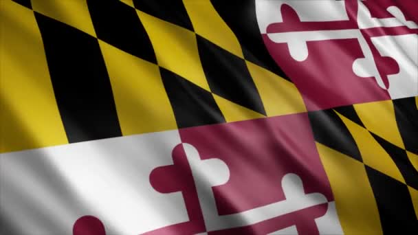 Maryland State Flag Usa Animation High Quality Waving Flag Animation — Stock Video
