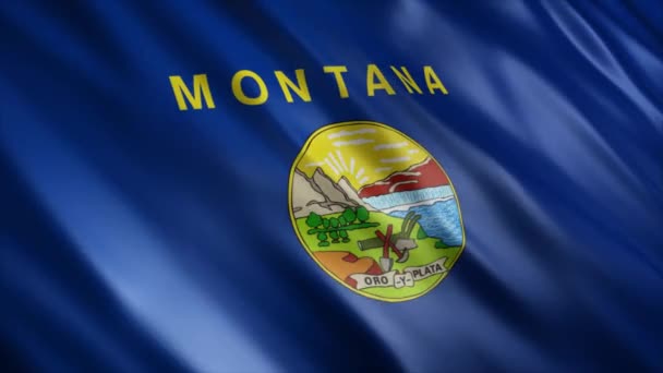 Montana State Flag Usa Animatie Hoge Kwaliteit Golvende Vlag Animatie — Stockvideo