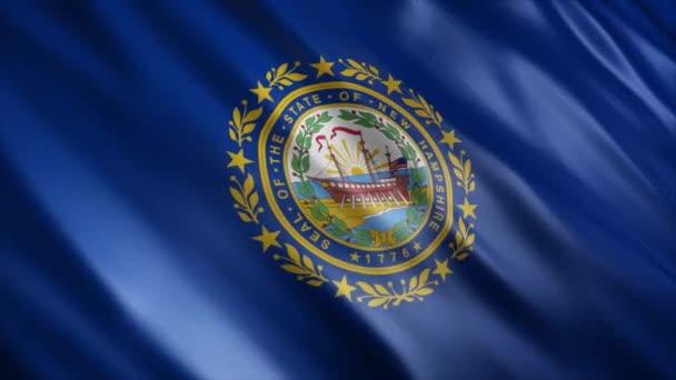 新罕布什尔州国旗 高品质的无缝隙波浪旗帜动画 延长所需的时间 — 图库视频影像