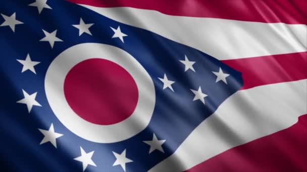Ohio State Flag Usa Animation High Quality Waving Flag Animation — Stockvideo