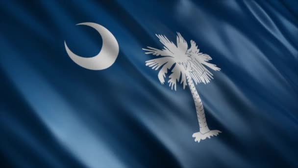 Bandeira Estado Carolina Sul Estados Unidos Animação Bandeira Ondulada Alta — Vídeo de Stock