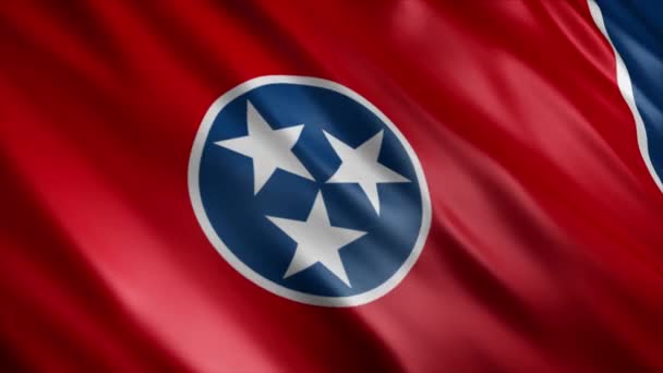 Tennessee State Flag Usa Animation High Quality Waving Flag Animation — Stock Video
