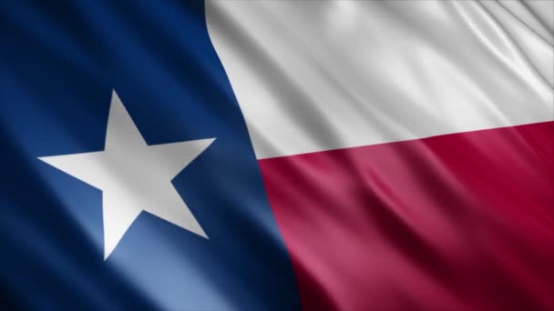 Texas State Flag Usa Animation Hög Kvalitet Viftande Flagga Animation — Stockvideo