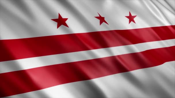 Washington State Flag Usa Animação Bandeira Ondulada Alta Qualidade Animação — Vídeo de Stock