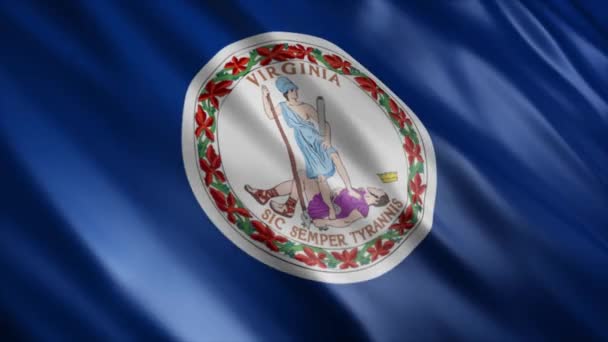 Virginia Eyalet Bayrağı Usa Animasyonu Yüksek Kalite Dalgalanan Bayrak Animasyonu — Stok video