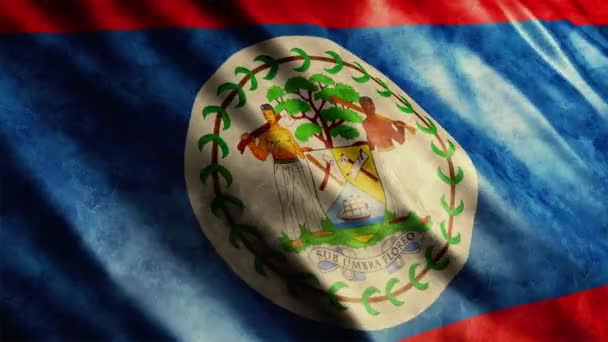 Belize National Flag Grunge Animation High Quality Waving Flag Animation — Stockvideo