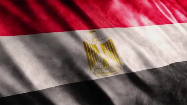 Mısır Ulusal Bayrak Grunge Animasyonu Yüksek Kalite Dalgalanan Bayrak Animasyonu — Stok video