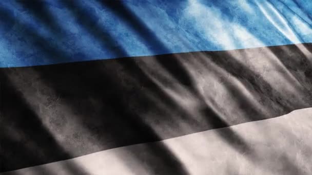 エストニア国旗のグラウンジアニメーション シームレスなループで高品質のウィービングフラッグアニメーションは 必要に応じて期間を延長します — ストック動画