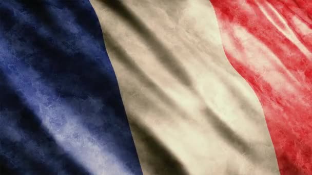 France National Flag Grunge Animation High Quality Waving Flag Animation — Stock Video