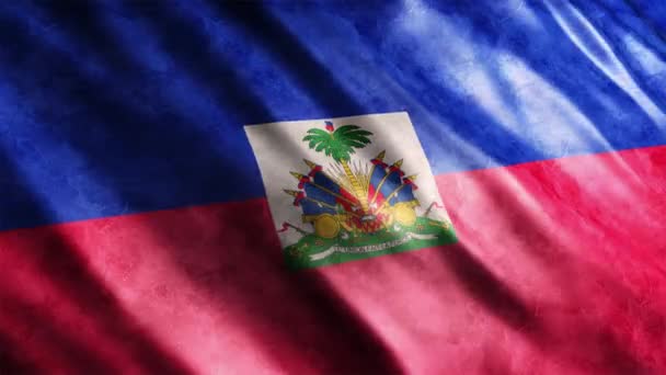 ハイチ国旗グラウンジアニメーション シームレスループ付きの高品質ウィービングフラッグアニメーション 必要に応じて期間を延長 — ストック動画