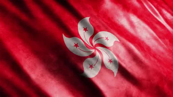 Hong Kong National Flag Grunge Animation Wysokiej Jakości Animacja Flagą — Wideo stockowe