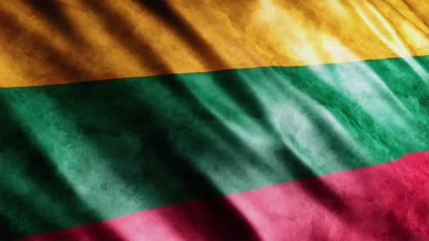 Litva Národní Vlajka Grunge Animace Vysoce Kvalitní Vlnění Vlajky Animace — Stock video
