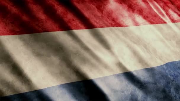 Nederlandse Vlag Grunge Animatie Hoge Kwaliteit Waving Flag Animatie Met — Stockvideo