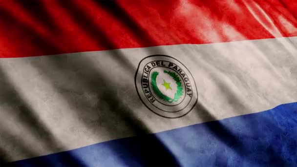 Парагвайський Національний Прапор Грандж Анімація Високоякісна Анімація Прапора Безшовною Петлею — стокове відео