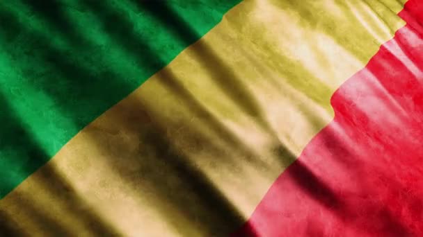 Animação Grunge Bandeira Nacional Congo Animação Bandeira Ondulação Alta Qualidade — Vídeo de Stock