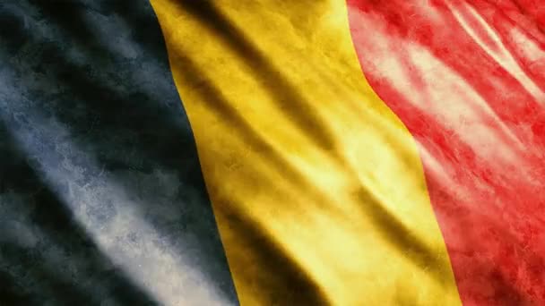 Rumänien National Flag Grunge Animation Hög Kvalitet Viftande Flagga Animation — Stockvideo