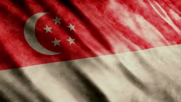 Сингапурский Национальный Флаг Гранж Анимации Высокое Качество Размахивания Флагом Анимации — стоковое видео