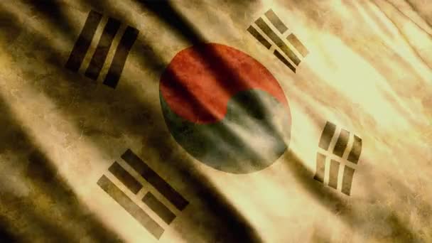 Dél Korea National Flag Grunge Animation Kiváló Minőségű Hullámzó Zászló — Stock videók