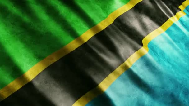 Tanzania National Flag Grunge Animation Hög Kvalitet Viftande Flagga Animation — Stockvideo