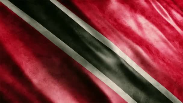 Trinidad Dan Tobago National Flag Grunge Animation High Quality Waving — Stok Video