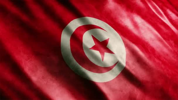 Tunisie Drapeau National Grunge Animation Animation Drapeau Ondulé Haute Qualité — Video