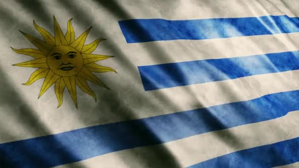 Uruguay National Flag Grunge Animation Hoge Kwaliteit Golvende Vlag Animatie — Stockvideo